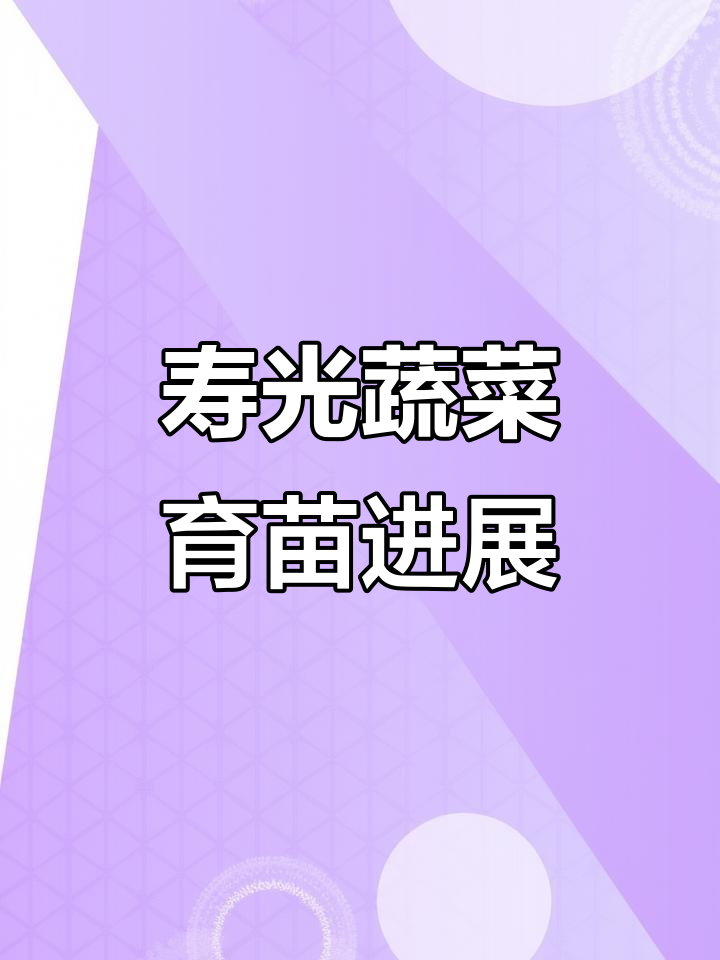 山东寿光蔬菜育苗基地全力出苗,保障夏季供应