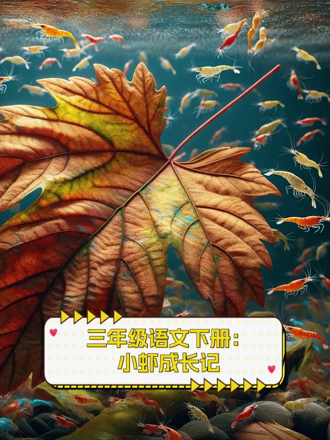 三年级语文下册:小虾成长记
