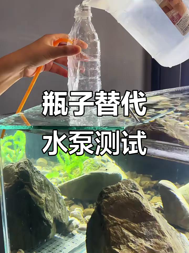 矿泉水瓶变水泵，鱼缸水自动循环真能实现？