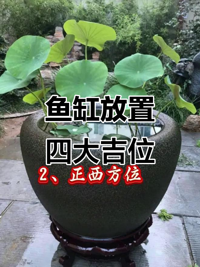 鱼缸摆放的最佳位置,选对地方财运滚滚来