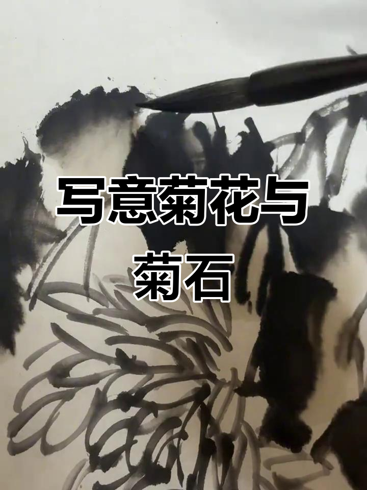 大写意菊花与菊石组合,国画小品技巧展示