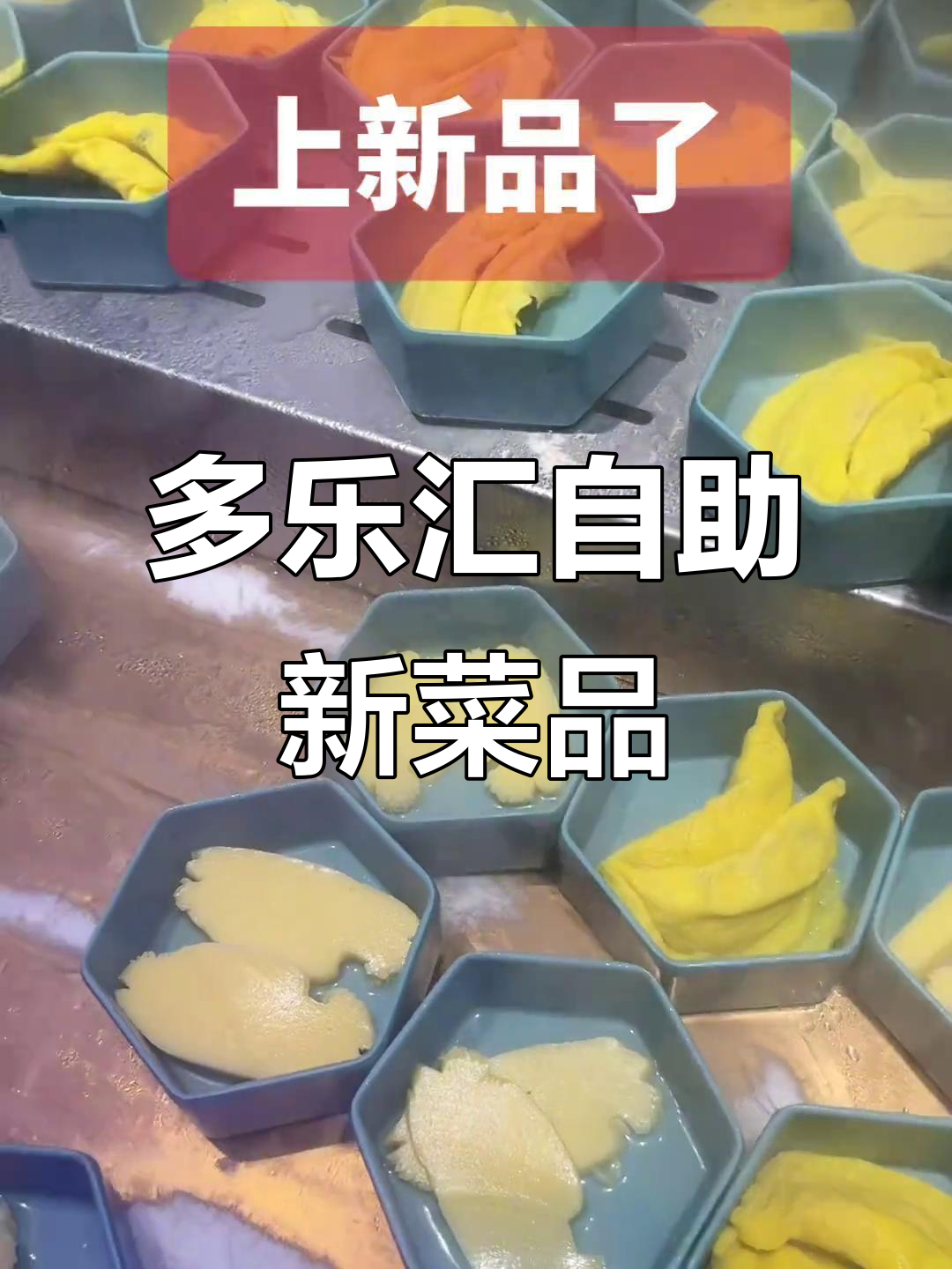 社旗多乐汇自助餐全新升级,乌鸡霸王汤、意大利面等新品来袭