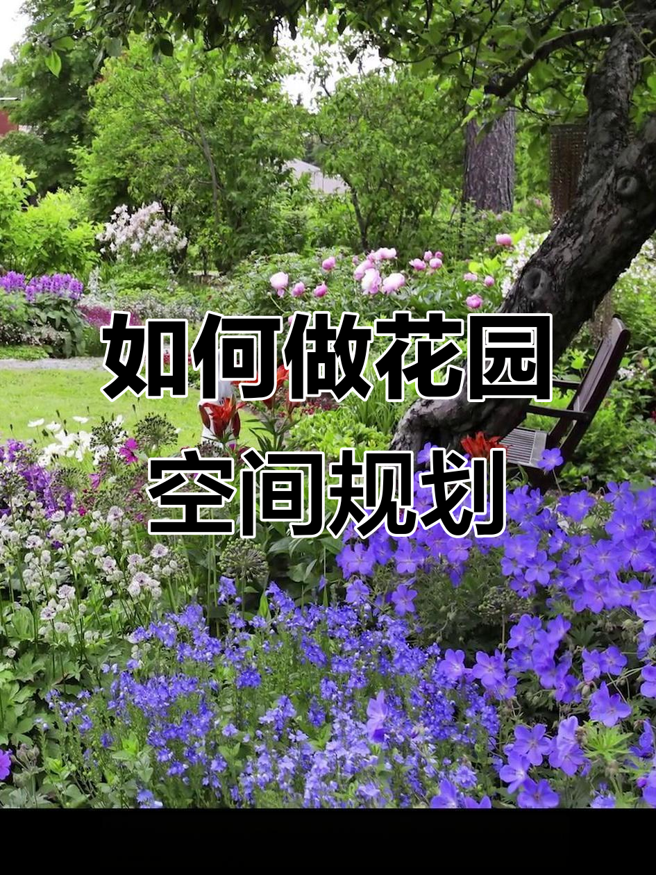 花园空间布局设计技巧,打造和谐景观