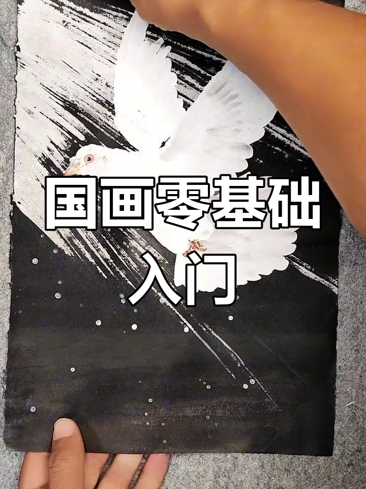 神奇国画技巧,鸽子写意轻松学