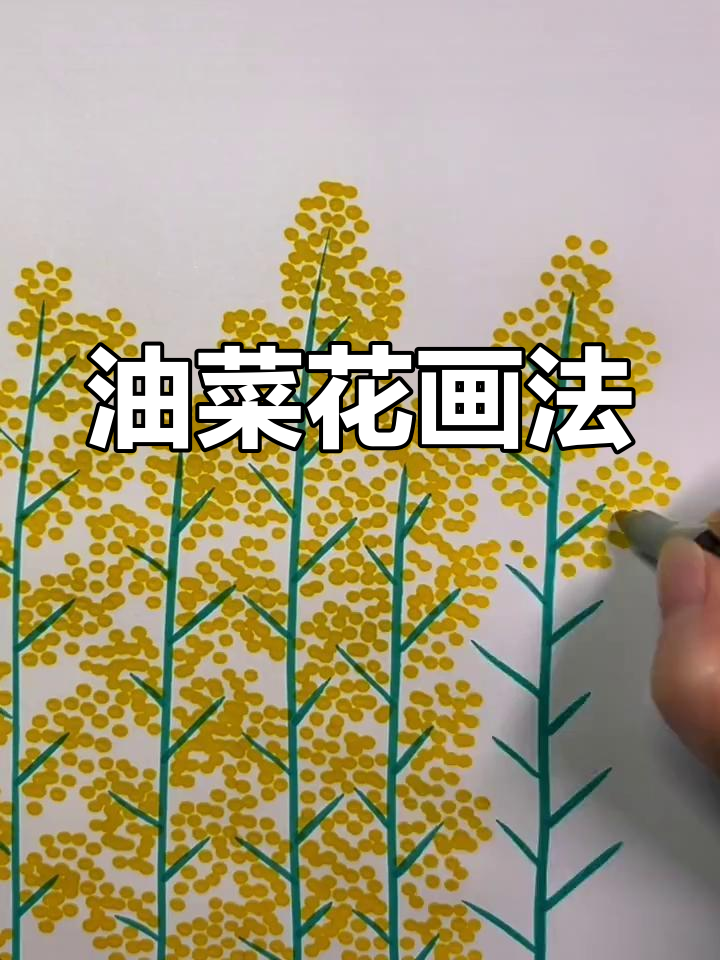 春天油菜花简笔画教程,轻松学会