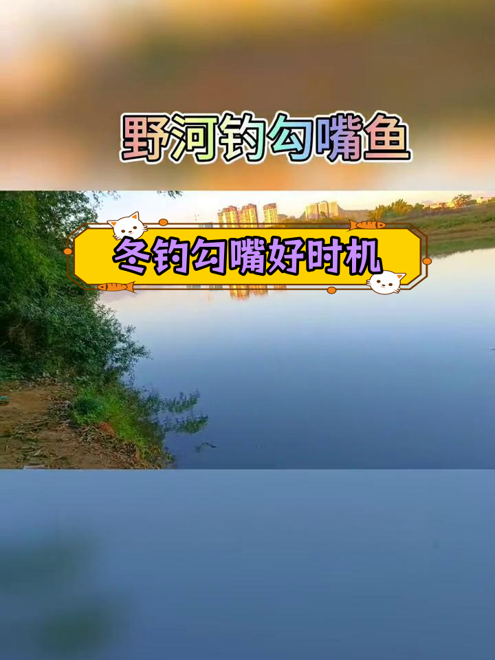 冬季钓鱼新钓点,挑战深水勾嘴鱼