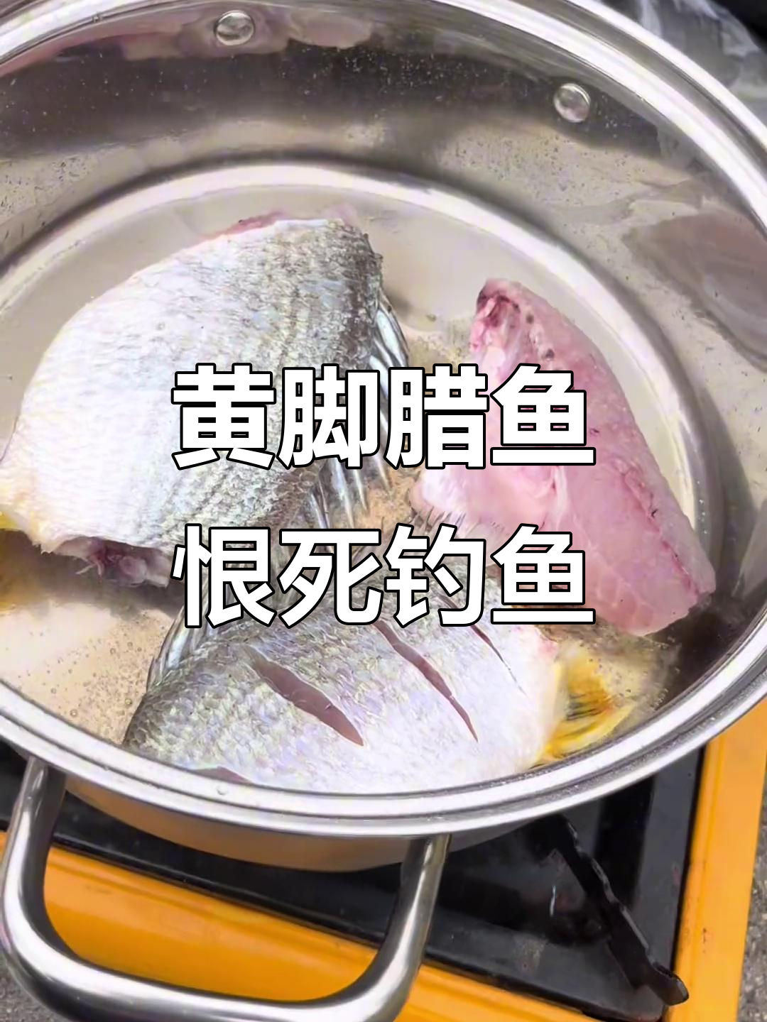 钓鱼佬的“猎杀”游戏：黄脚腊鱼的悲惨一天
