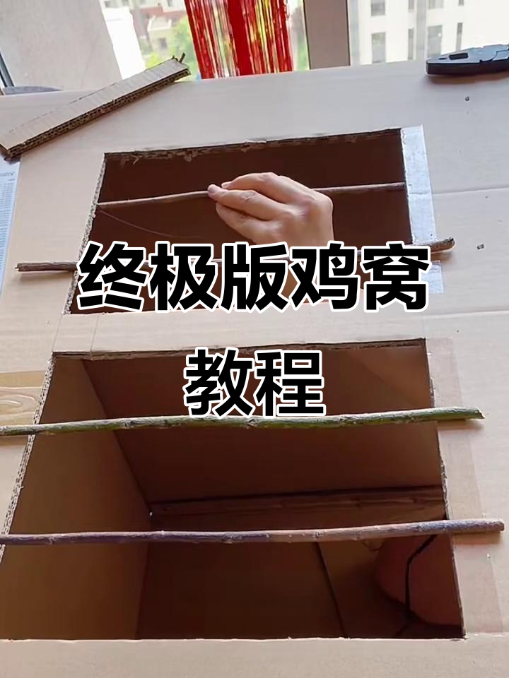 终极版鸡窝升级攻略,教你如何避免被刨烂