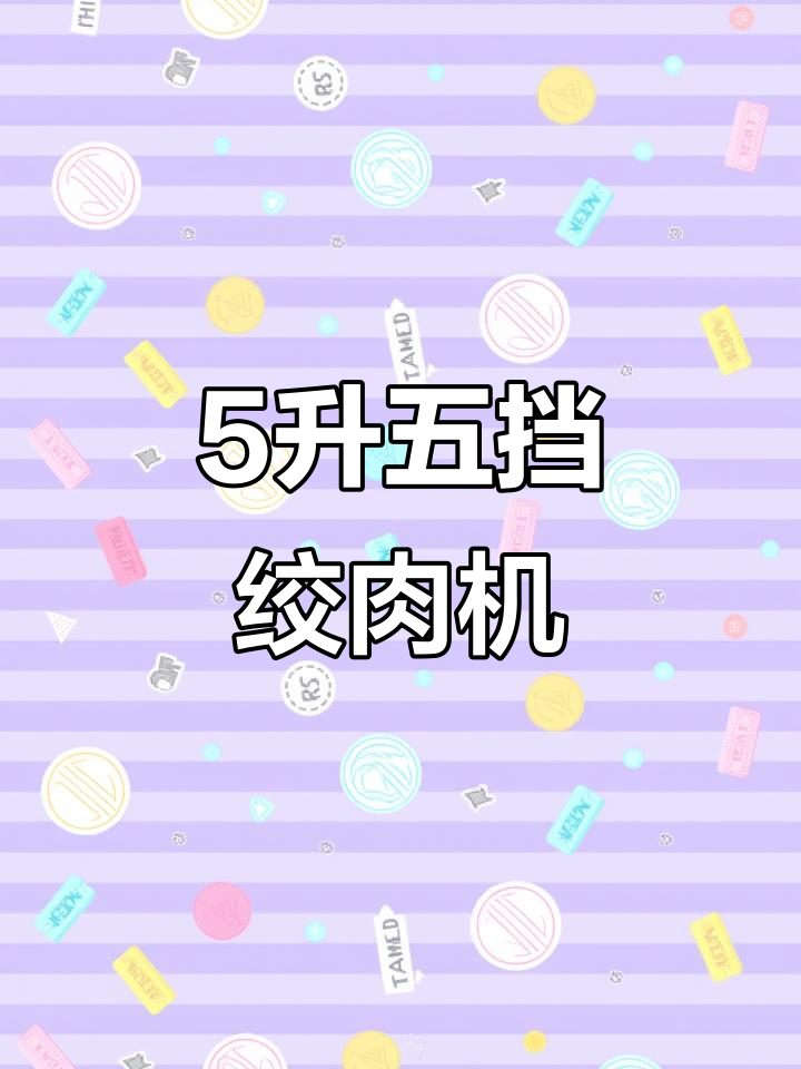 五升大容量电动绞肉机，多功能操作轻松搞定！