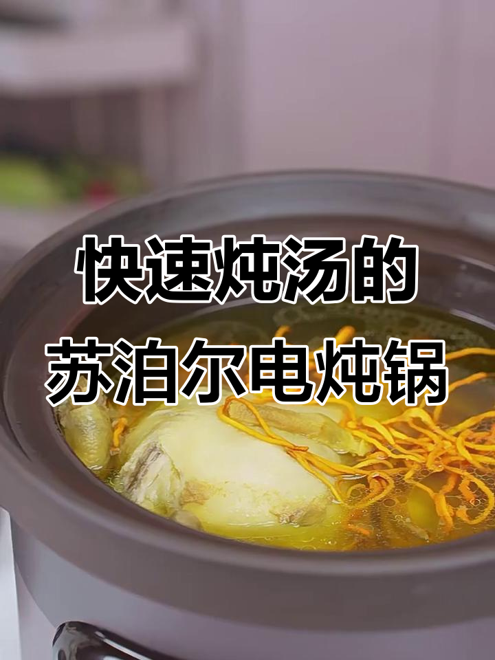 苏泊尔电炖锅,煲汤更省时,紫砂内胆锁住营养