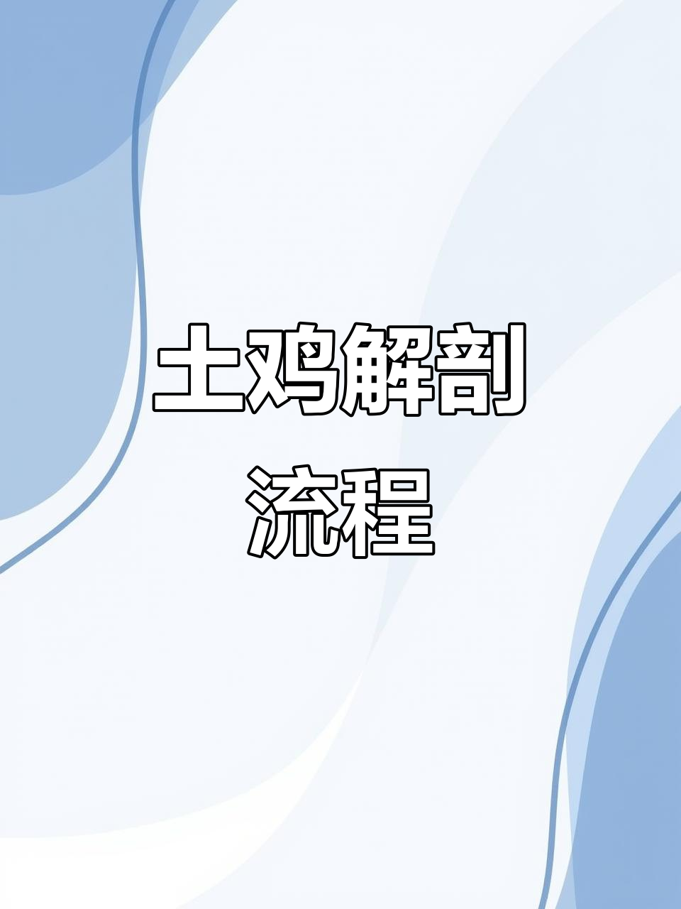 养鸡必学解剖技巧,轻松掌握病理分析