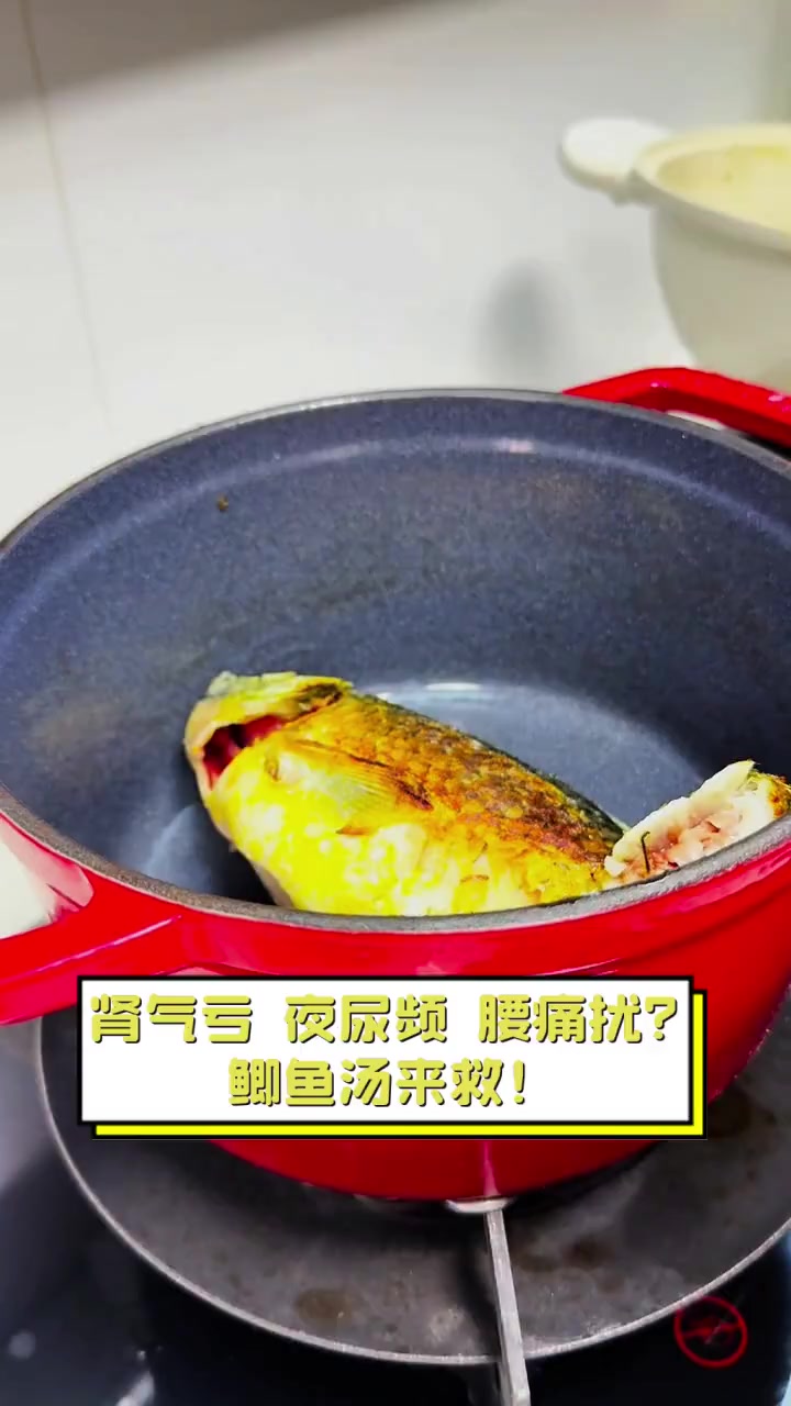 肾气亏,夜尿频,腰痛扰?鲫鱼汤来救!