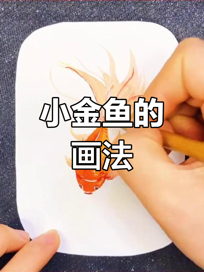 绘制仙气小金鱼技巧