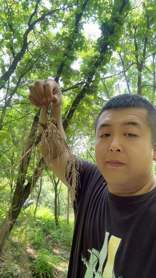狗n撵鸭子,呱呱滴