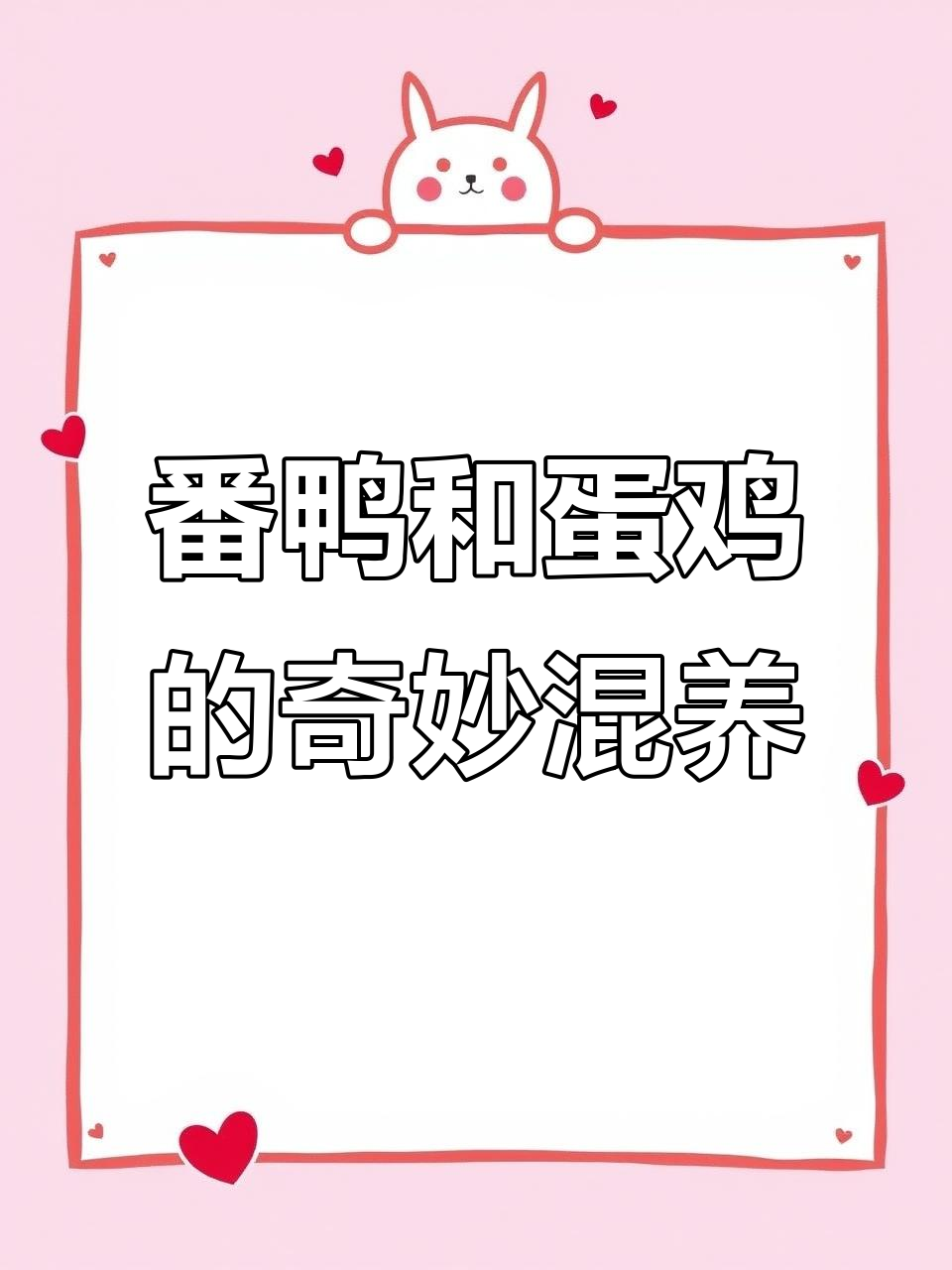 番鸭与鸭子杂交,竟有斑点新品种!
