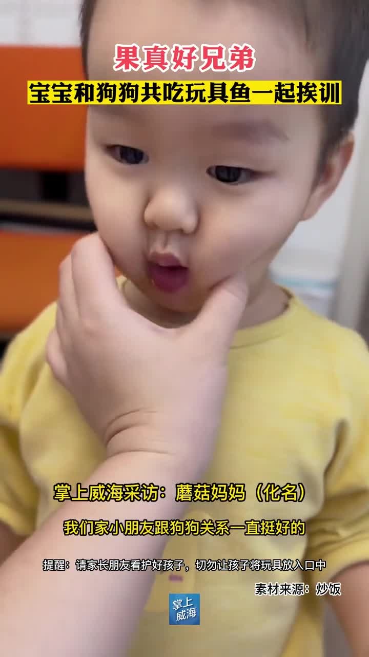 果真好兄弟!宝宝和狗狗共吃玩具鱼一起挨训
