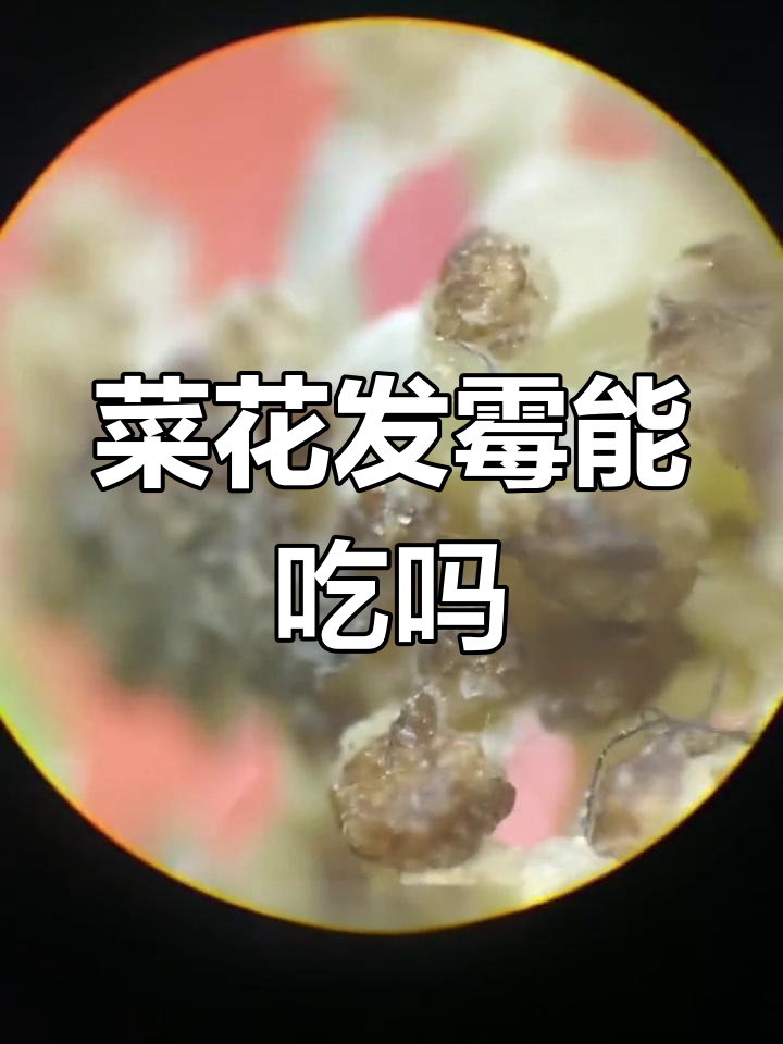 菜花上的黑点是什么?