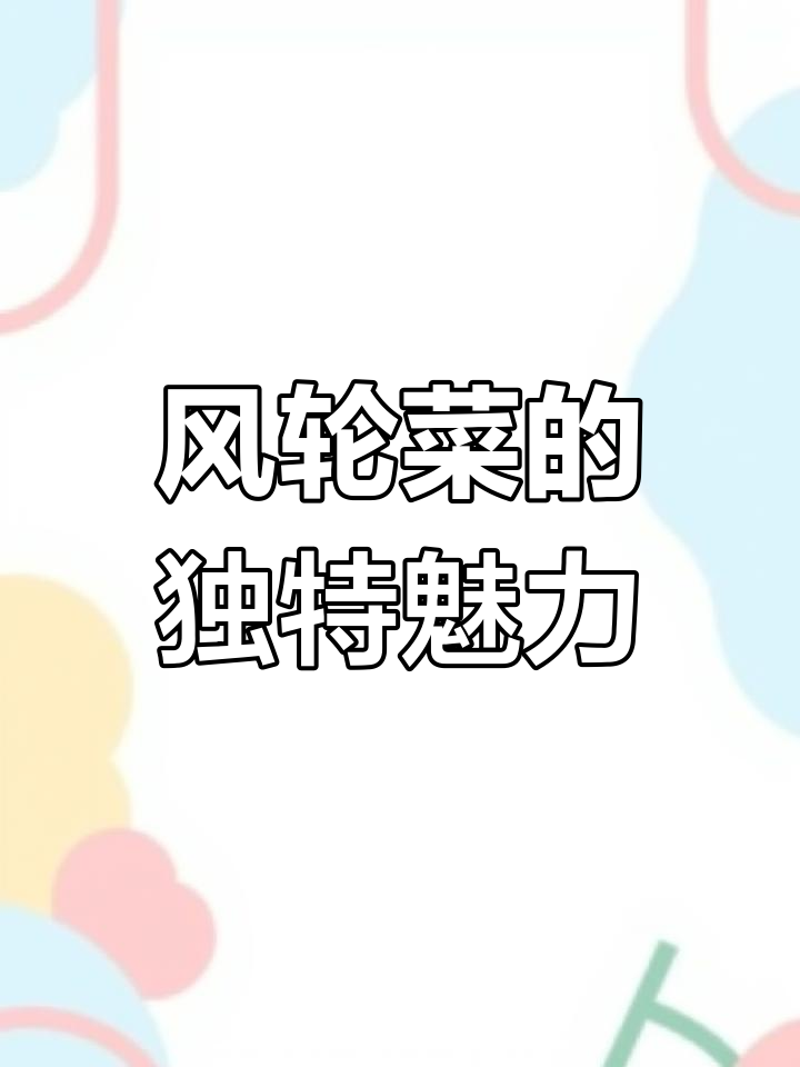 麻叶风轮菜:香气四溢的草本植物,药用与食用两不误