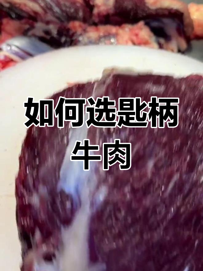 牛前腿肩胛肉,匙柄部位揭秘:如何挑选优质牛肉