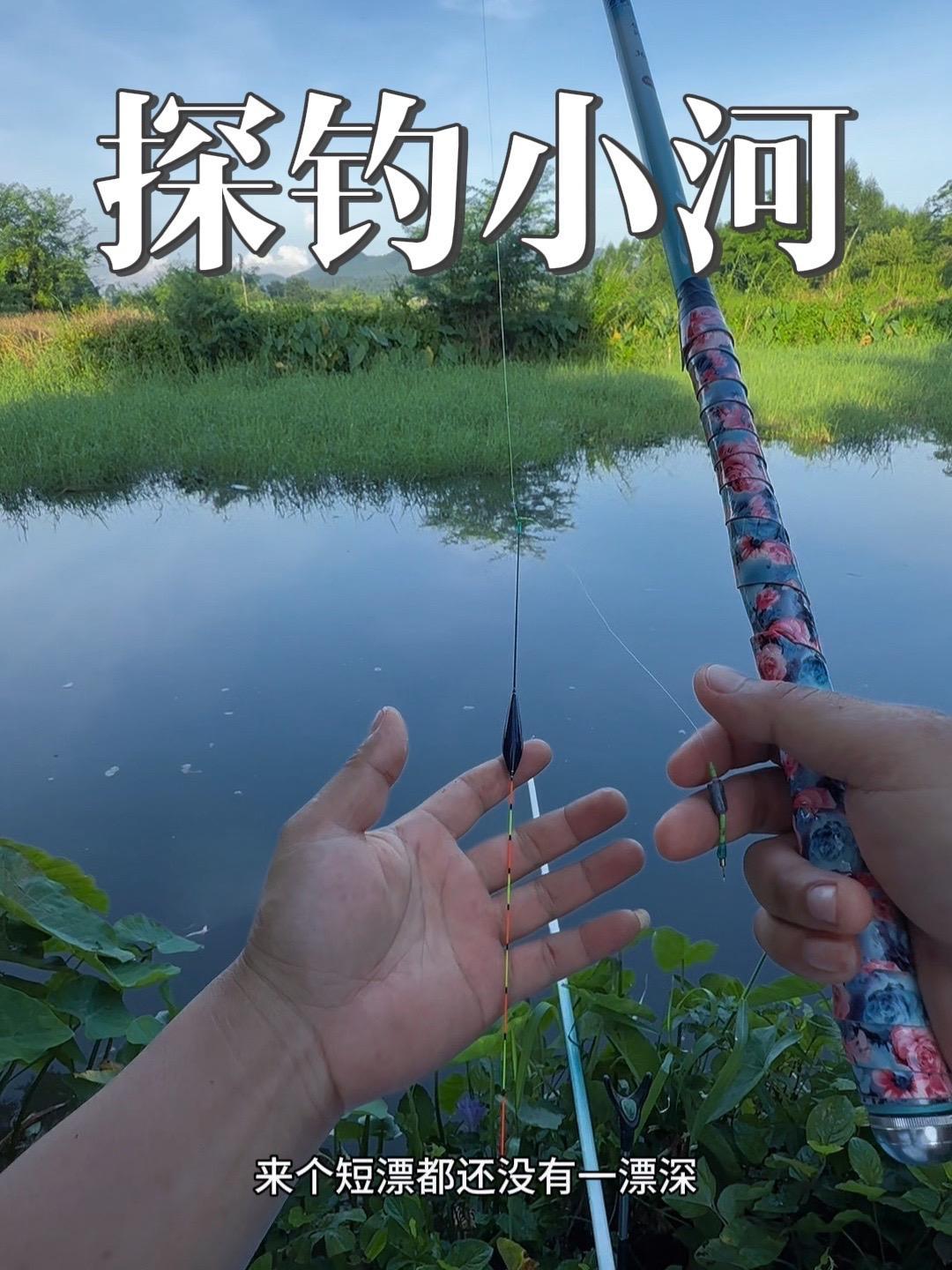 一顿操作猛如虎,一看鱼获二两五,这鱼情太广东了 钓鱼的乐趣只有钓鱼人懂 钓鱼人 光威鱼竿