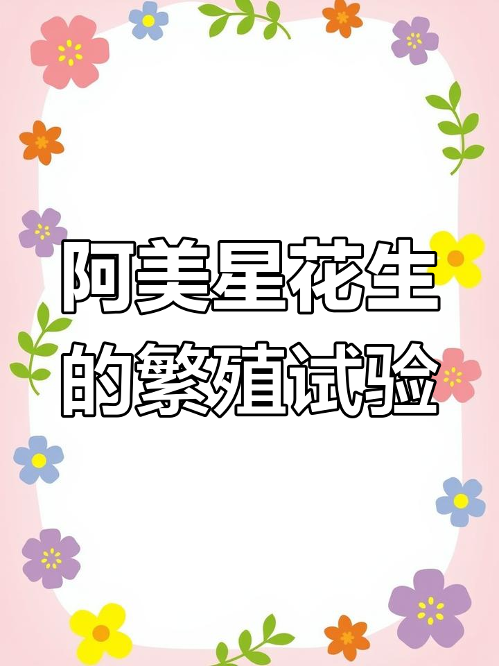 多肉植物阿美星花生实验,乌木不适合做爆头测试