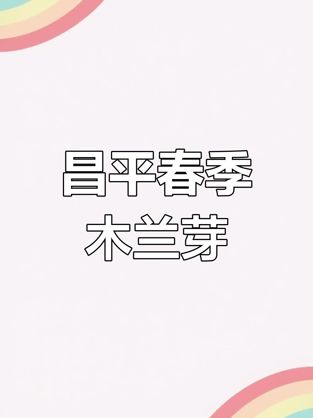 昌平山里摘木兰芽,春天最爱的野菜馅料