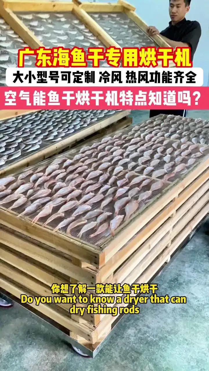 广东海鱼干专用烘干机 广东海鱼干专用烘干机,你想了解一款能让鱼干烘干达到理想效果的烘干机吗