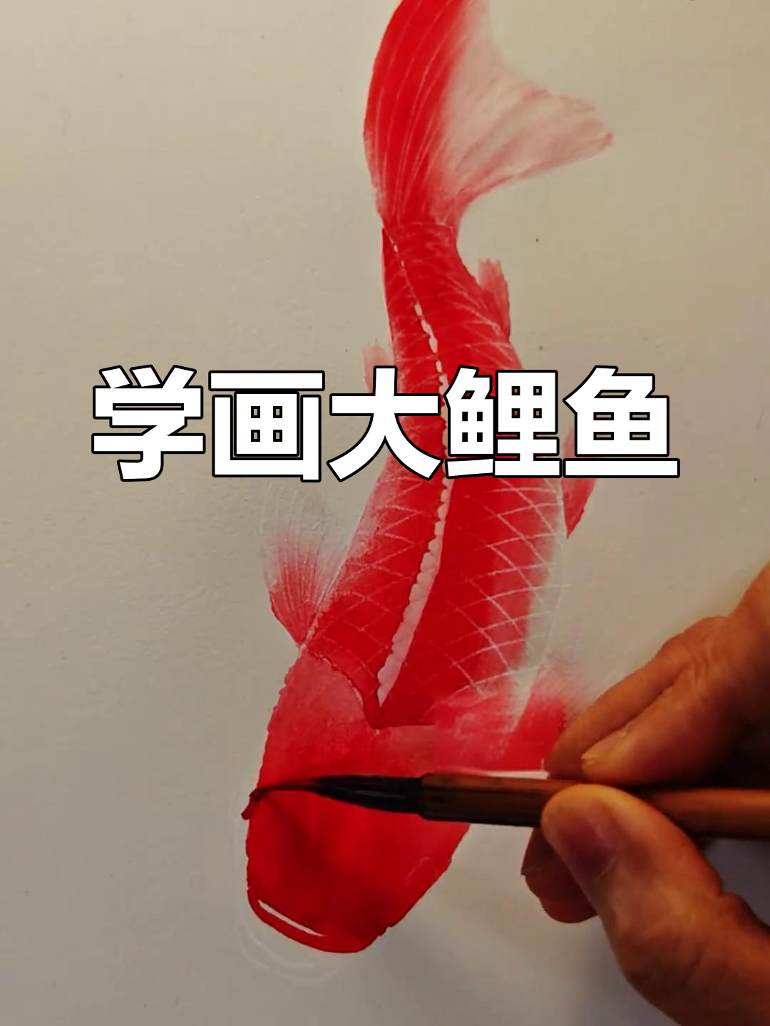 绘制国风大鲤鱼