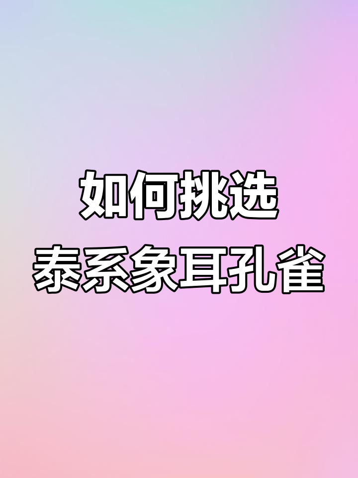 泰国象耳孔雀鱼选购指南,避免常见误区