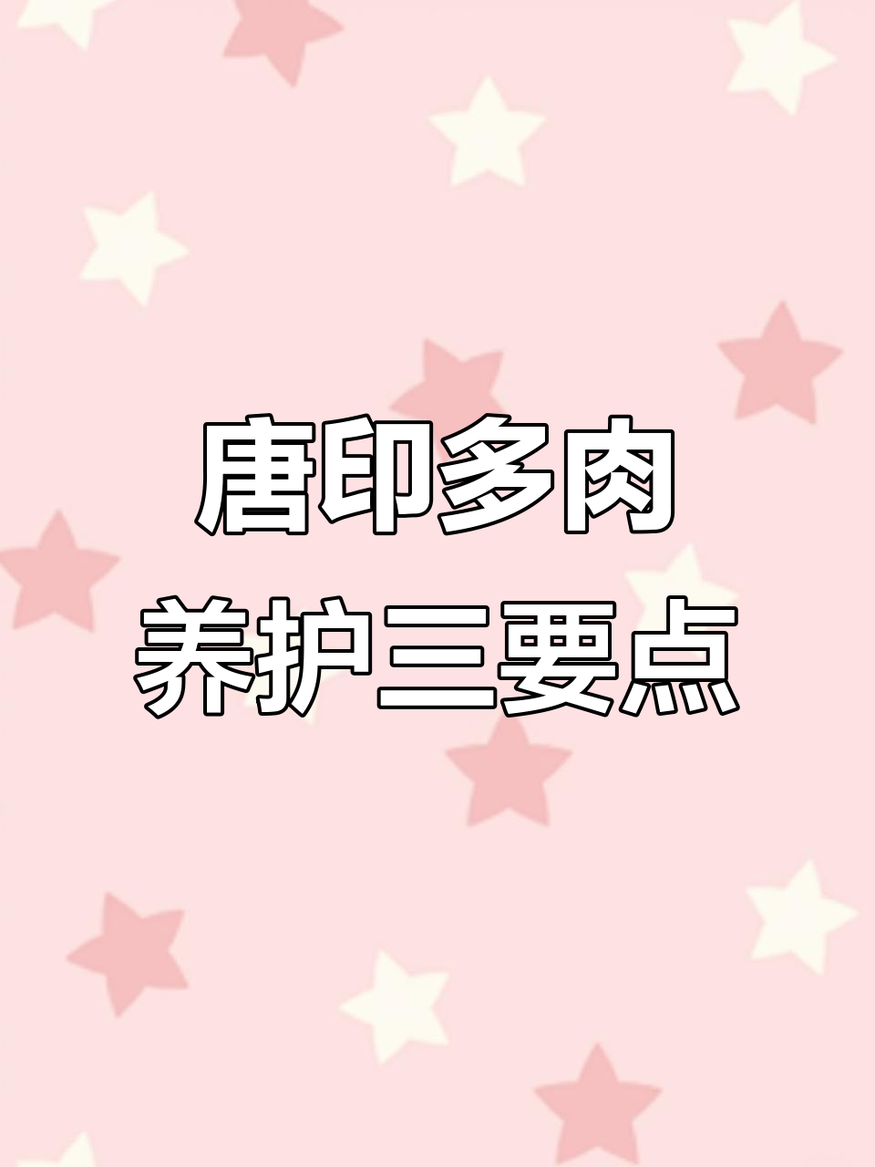 如何让唐印多肉快速长成老桩?三大养护技巧揭秘