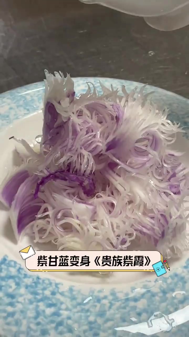 紫甘蓝变身《贵族紫霞》
