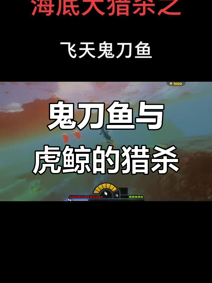 鬼刀鱼猛扑小公鱼，虎鲸不舍追逐！