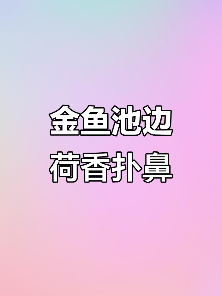 金鱼与荷花共舞,夏日美景尽显