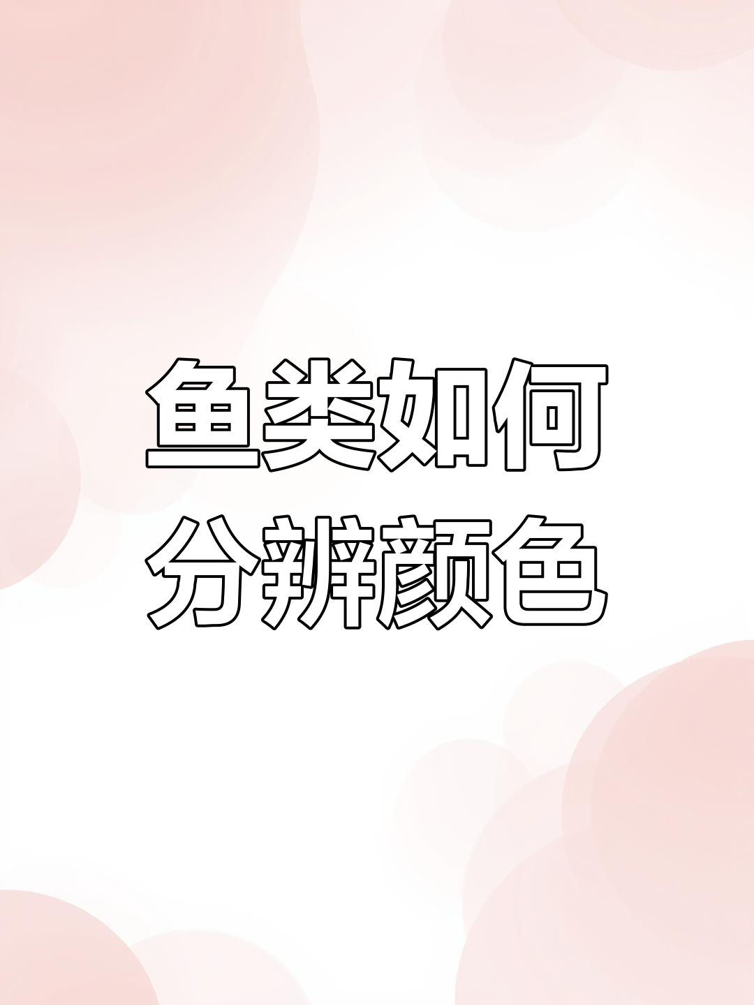 鱼类的颜色感知与钓鱼技巧,原来红色饵料最能吸引它们