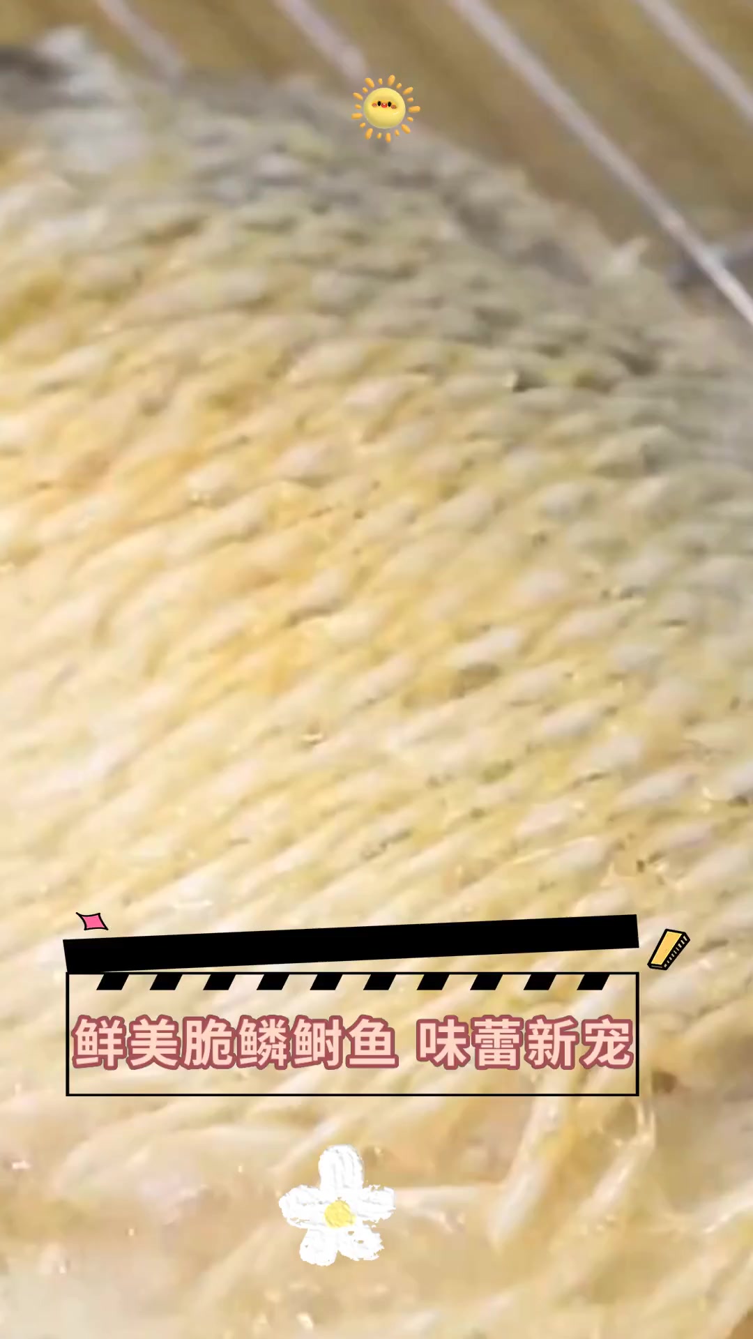 鲜美脆鳞鲥鱼,味蕾新宠