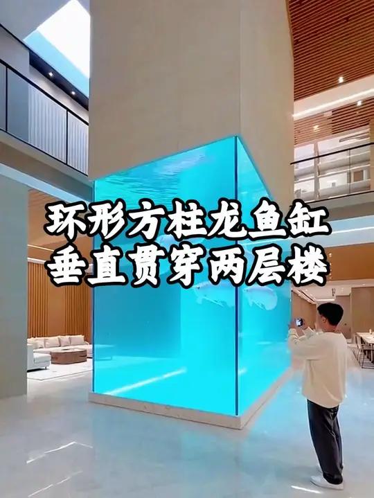 环形方柱龙鱼缸,垂直贯穿两层楼