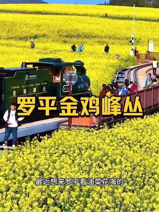 快来罗平看油菜花了，金鸡峰丛门票只要25