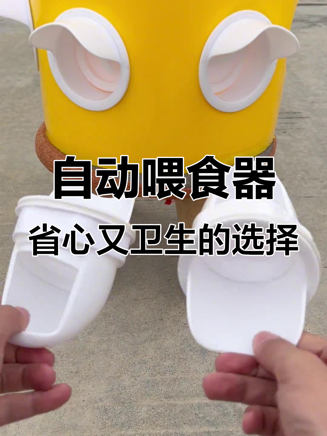 农村家禽养殖必备:自动喂食器让饲料更干净卫生