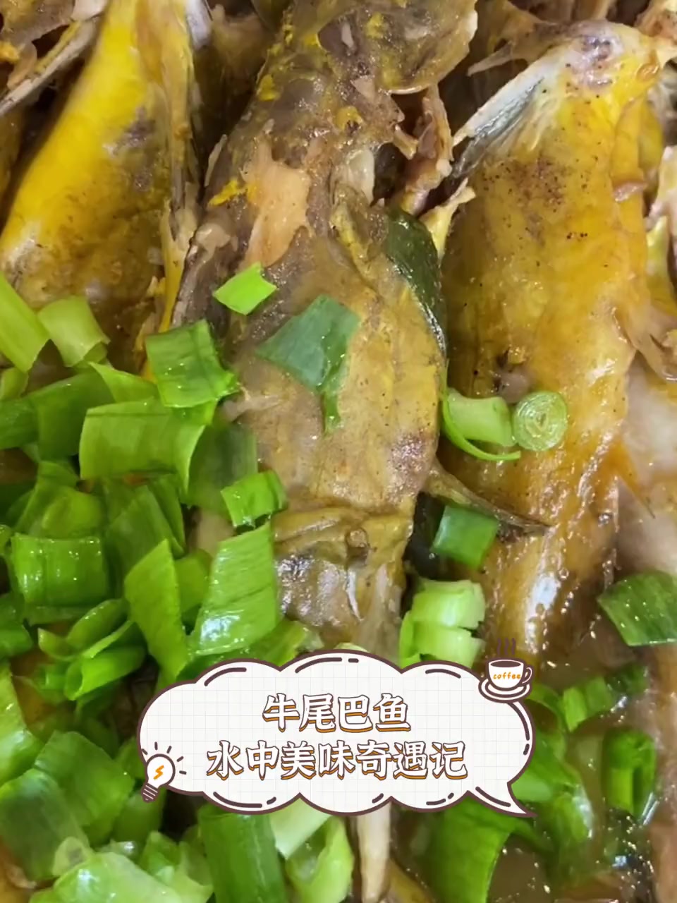 牛尾巴鱼,水中美味奇遇记