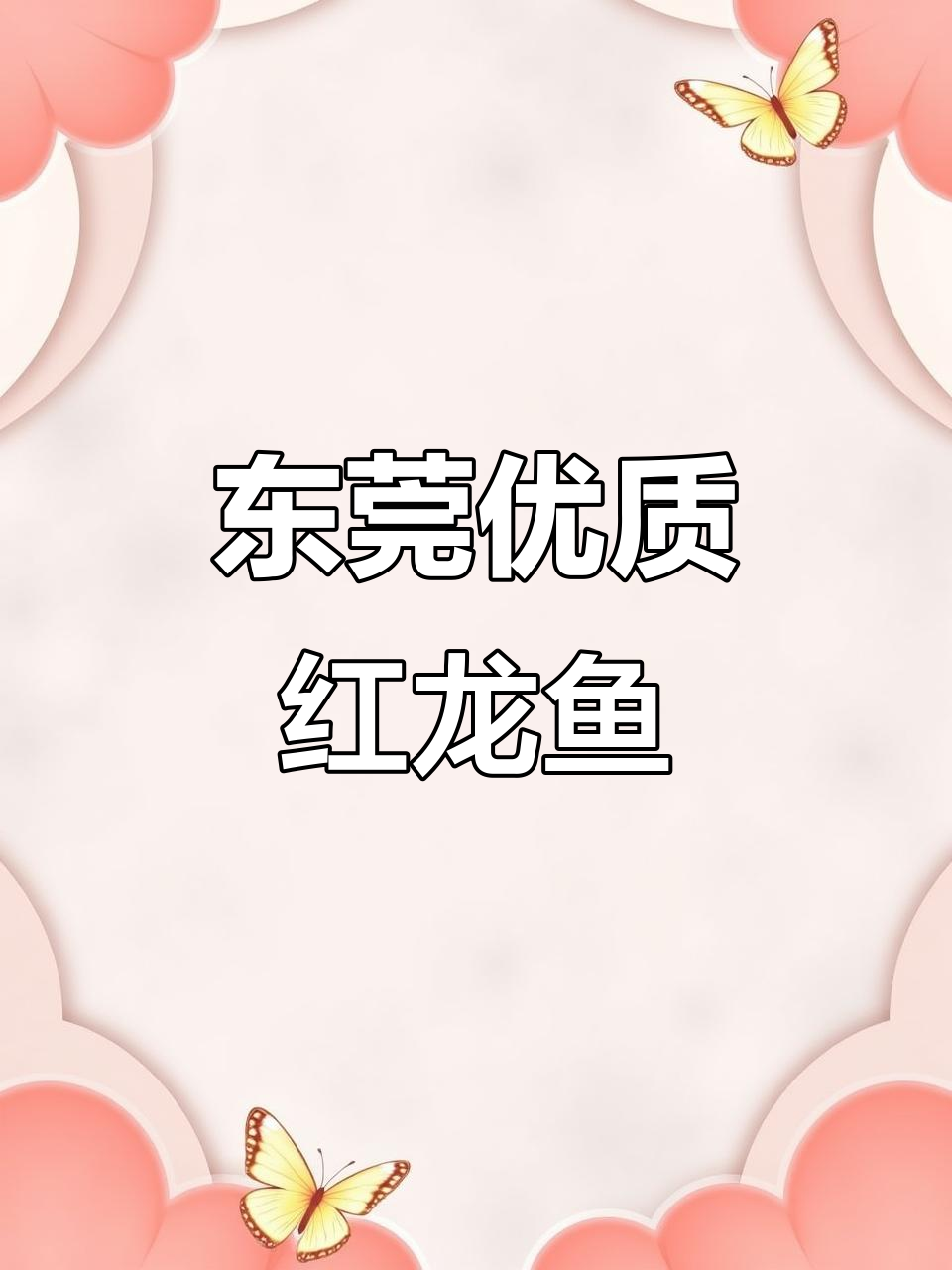 东莞红龙鱼批发市场，品质上乘的精品水族选择