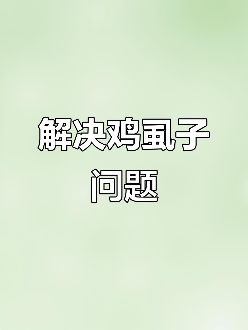 鸡虱子问题怎么办?快速解决体表寄生虫困扰