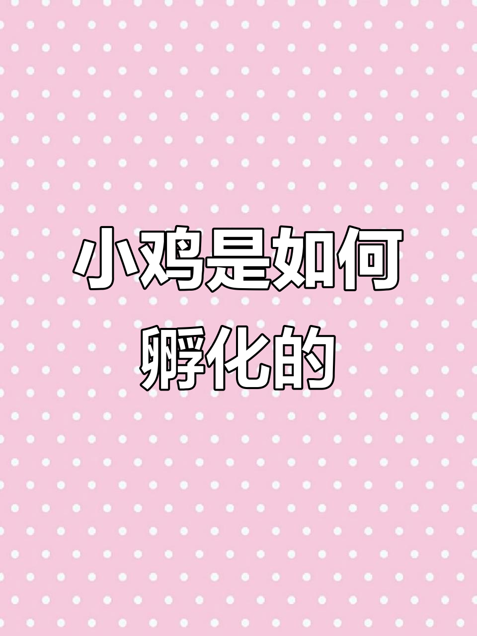 小鸡孵化全过程揭秘:从蛋到雏鸟的成长