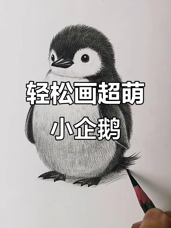 超萌小企鹅素描，简单又可爱！