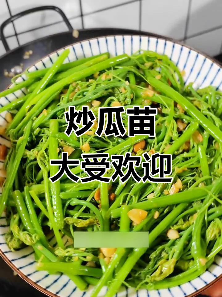 今晚瓜苗被抢光,炒瓜苗美味来袭!