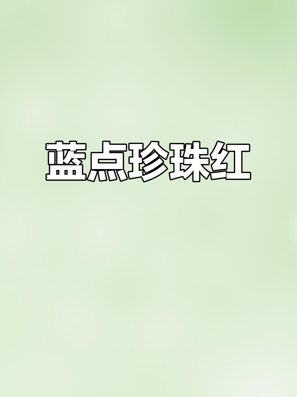 蓝斑条尾红:海洋中的美丽珍珠鱼,独特蓝色条纹与刺状尾巴