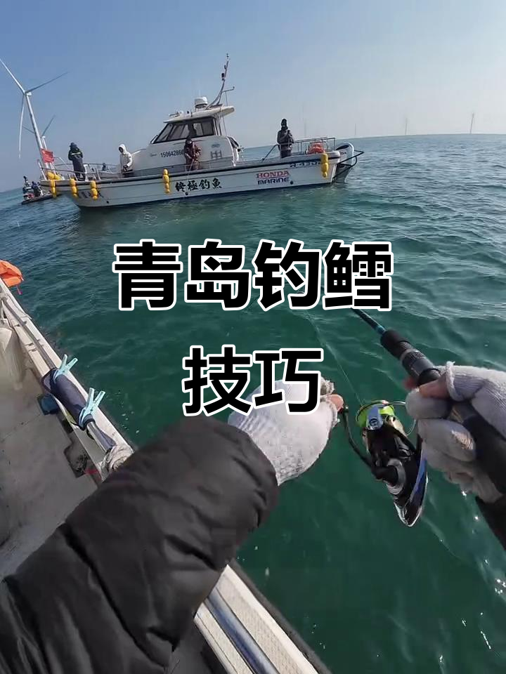青岛鳕鱼季钓法揭秘,简单又高效
