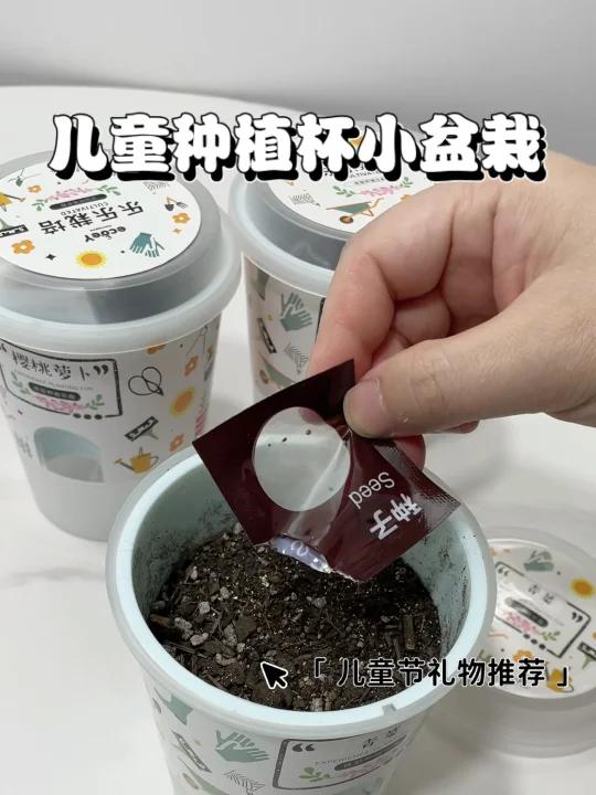 儿童节快到了,和孩子一起种花种菜吧!亲手播种,体验种植的乐趣