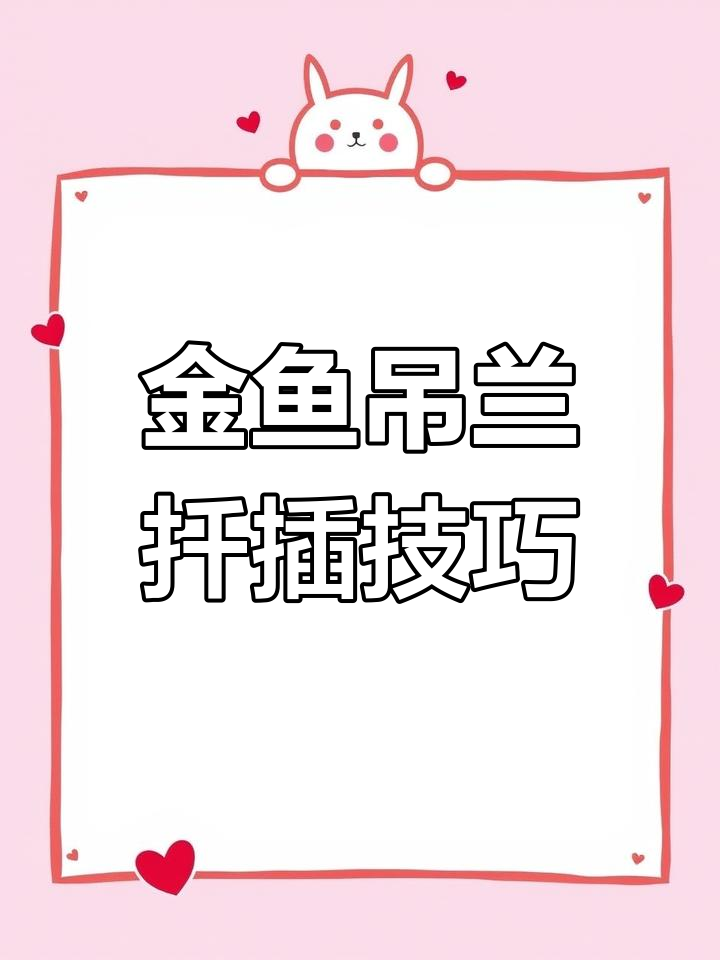 扦插金鱼吊兰,成活率超高的秘诀!
