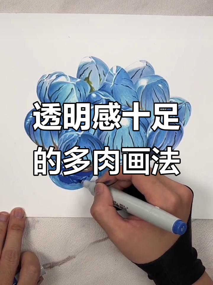 马克笔绘制晶莹多肉,轻松掌握通透感
