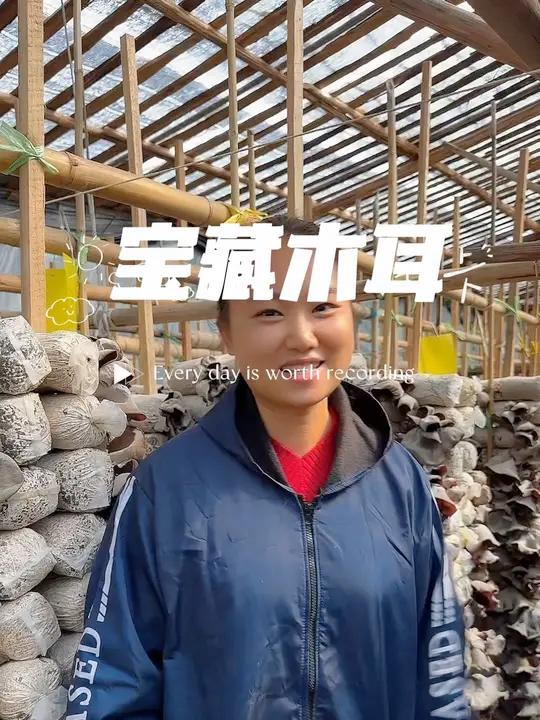 今天给大家推荐一款我家的宝藏木耳,它是一种碱性食物,不打药,孩子老人及可以放心给家人去吃的